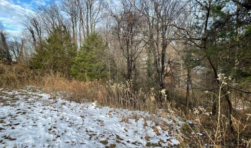 Photo #15 of 753 Burks Hill, Bedford, VA 7.4 acres