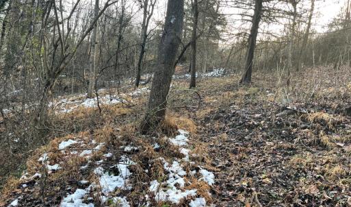 Photo #19 of 753 Burks Hill, Bedford, VA 7.4 acres