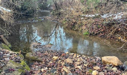 Photo #22 of 753 Burks Hill, Bedford, VA 7.4 acres