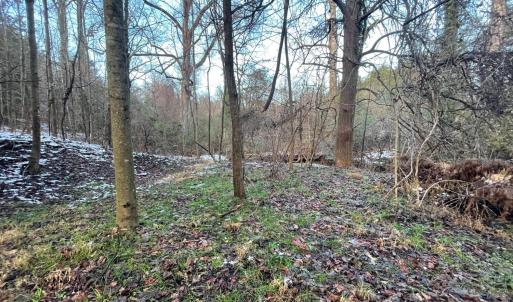 Photo #23 of 753 Burks Hill, Bedford, VA 7.4 acres