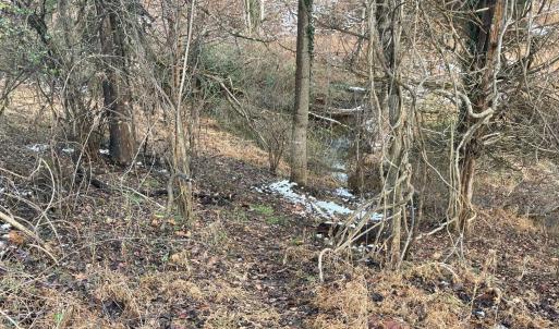 Photo #16 of 753 Burks Hill, Bedford, VA 7.4 acres