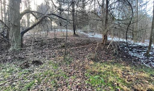 Photo #24 of 753 Burks Hill, Bedford, VA 7.4 acres