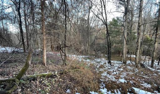 Photo #21 of 753 Burks Hill, Bedford, VA 7.4 acres