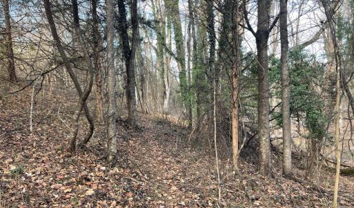 Photo #18 of 753 Burks Hill, Bedford, VA 7.4 acres