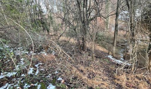 Photo #17 of 753 Burks Hill, Bedford, VA 7.4 acres