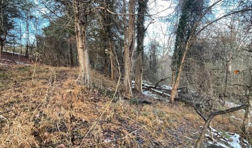 Photo #20 of 753 Burks Hill, Bedford, VA 7.4 acres