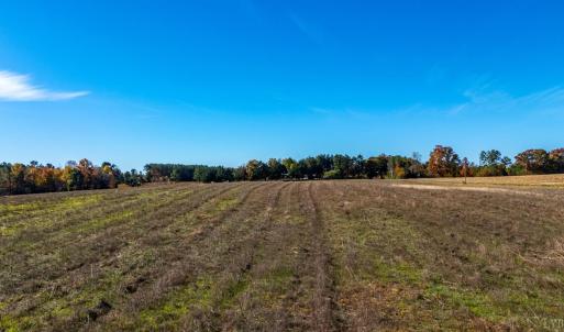 Photo #25 of Hat Creek Road, Brookneal, VA 20.9 acres