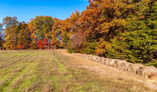 Photo #23 of Hat Creek Road, Brookneal, VA 20.9 acres