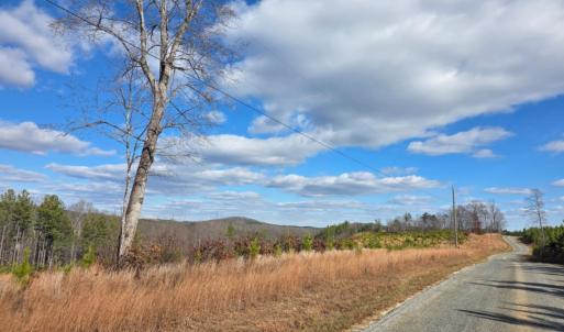 Photo #23 of 5150 Norwood Road, Gladstone, VA 206.7 acres