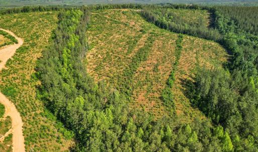 Photo #27 of 5150 Norwood Road, Gladstone, VA 206.7 acres