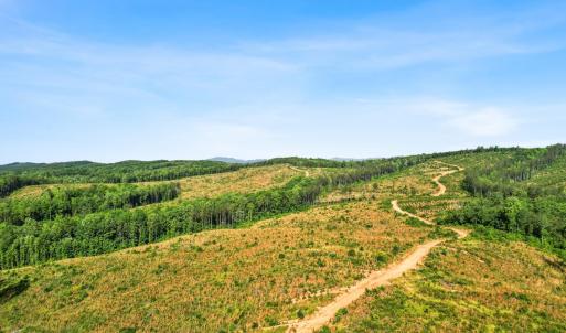 Photo #25 of 5150 Norwood Road, Gladstone, VA 206.7 acres