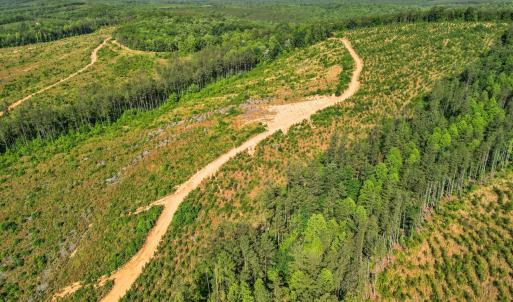 Photo #28 of 5150 Norwood Road, Gladstone, VA 206.7 acres