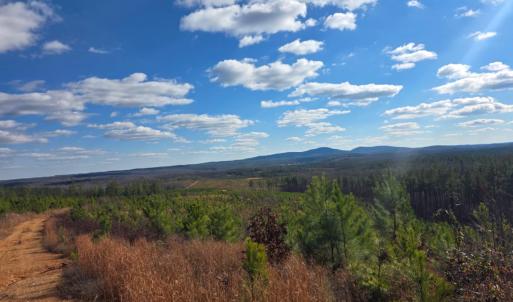 Photo #19 of 5150 Norwood Road, Gladstone, VA 206.7 acres