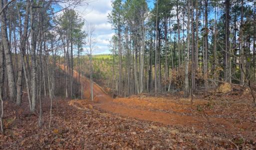 Photo #8 of 5150 Norwood Road, Gladstone, VA 206.7 acres