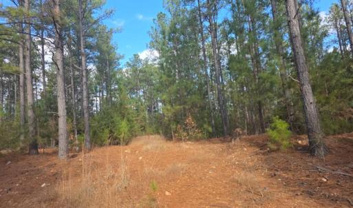 Photo #6 of 5150 Norwood Road, Gladstone, VA 206.7 acres
