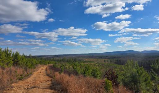 Photo #17 of 5150 Norwood Road, Gladstone, VA 206.7 acres