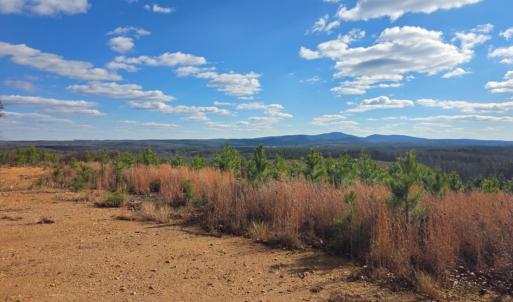 Photo #13 of 4608 Norwood Road, Gladstone, VA 160.2 acres