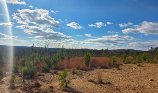 Photo #11 of 4608 Norwood Road, Gladstone, VA 160.2 acres