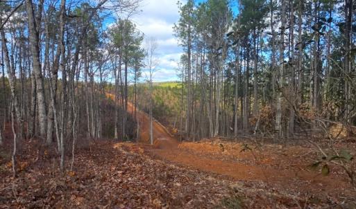 Photo #7 of 4608 Norwood Road, Gladstone, VA 160.2 acres