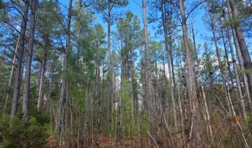 Photo #4 of 4608 Norwood Road, Gladstone, VA 160.2 acres