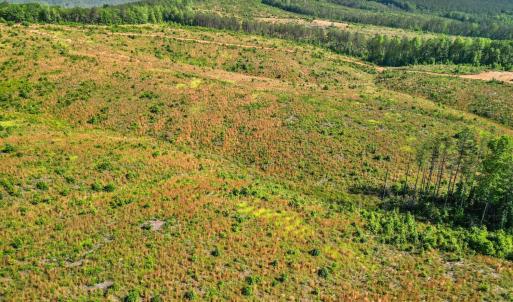 Photo #22 of 4608 Norwood Road, Gladstone, VA 160.2 acres