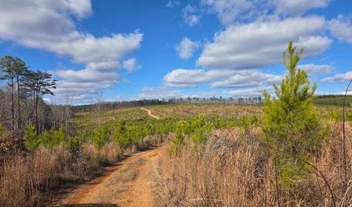 Photo #10 of Norwood Road, Gladstone, VA 366.9 acres
