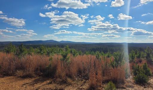 Photo #14 of Norwood Road, Gladstone, VA 366.9 acres