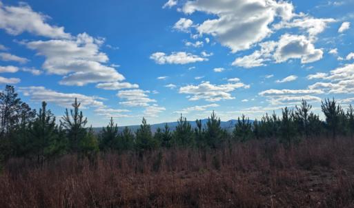 Photo #17 of Norwood Road, Gladstone, VA 366.9 acres