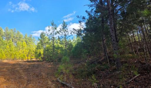 Photo #2 of Norwood Road, Gladstone, VA 366.9 acres