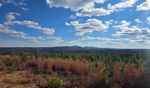 Photo #13 of Norwood Road, Gladstone, VA 366.9 acres