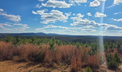Photo #10 of Norwood Road, Gladstone, VA 366.9 acres