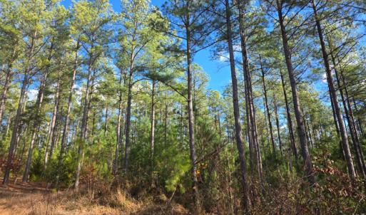 Photo #2 of Norwood Road, Gladstone, VA 366.9 acres