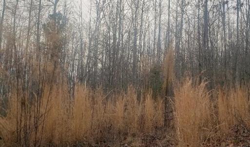 Photo #1 of Mountain Creek Rd, Green Bay, VA 2.9 acres