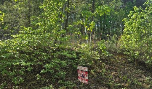 Photo #2 of Mountain Creek Rd, Green Bay, VA 2.9 acres