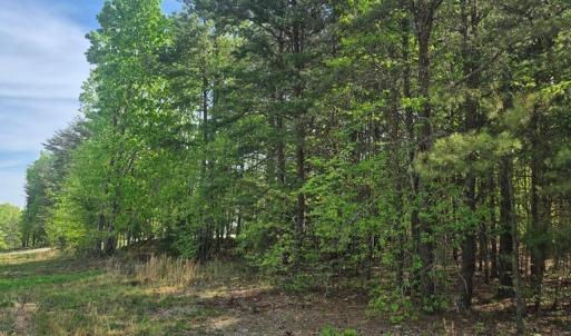 Photo #2 of Mountain Creek Rd, Green Bay, VA 2.9 acres