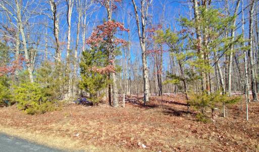 Photo #3 of Texas School Road, Wingina, VA 11.0 acres