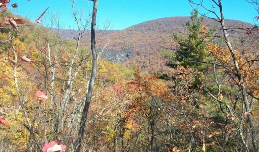 Photo #3 of Old Stoney Creek, Nellysford, VA 66.8 acres