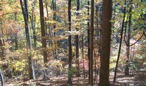 Photo #15 of Old Stoney Creek, Nellysford, VA 66.8 acres