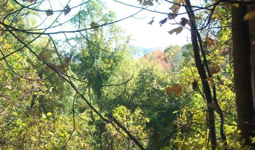 Photo #12 of Old Stoney Creek, Nellysford, VA 66.8 acres
