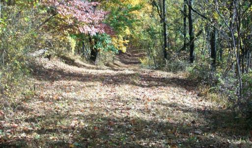 Photo #13 of Old Stoney Creek, Nellysford, VA 66.8 acres