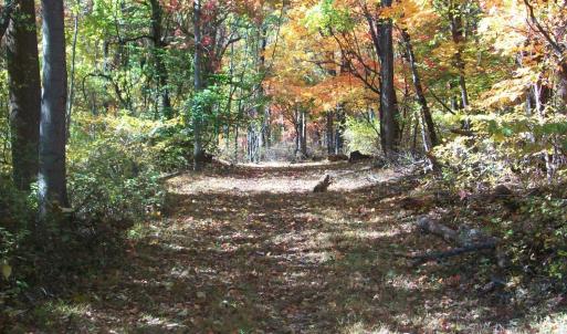 Photo #14 of Old Stoney Creek, Nellysford, VA 66.8 acres