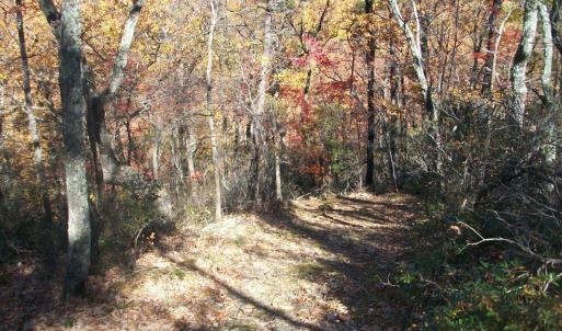 Photo #4 of Old Stoney Creek, Nellysford, VA 66.8 acres