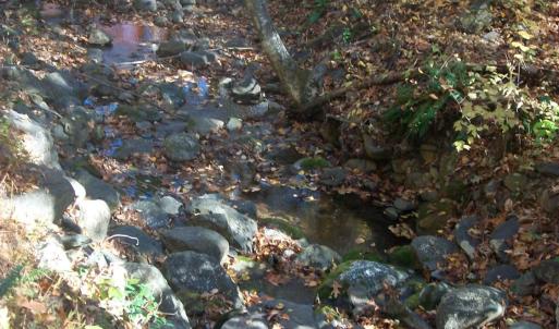 Photo #21 of Old Stoney Creek, Nellysford, VA 66.8 acres
