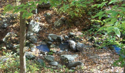 Photo #20 of Old Stoney Creek, Nellysford, VA 66.8 acres