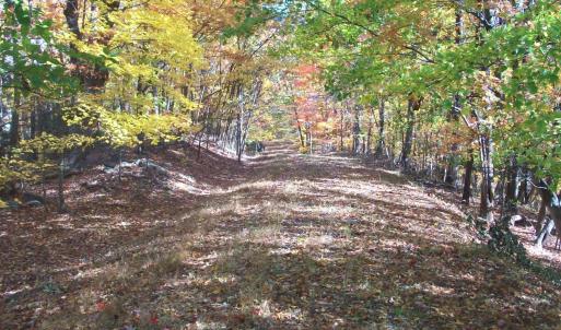 Photo #19 of Old Stoney Creek, Nellysford, VA 66.8 acres