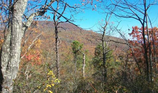 Photo #5 of Old Stoney Creek, Nellysford, VA 66.8 acres