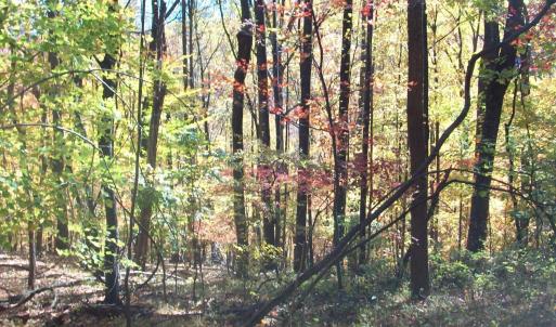 Photo #18 of Old Stoney Creek, Nellysford, VA 66.8 acres