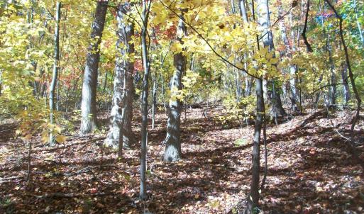 Photo #16 of Old Stoney Creek, Nellysford, VA 66.8 acres