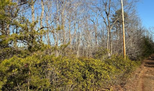 Photo #2 of wesley Drive, Madison Heights, VA 16.2 acres