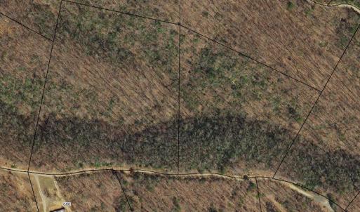 Photo #5 of wesley Drive, Madison Heights, VA 16.2 acres